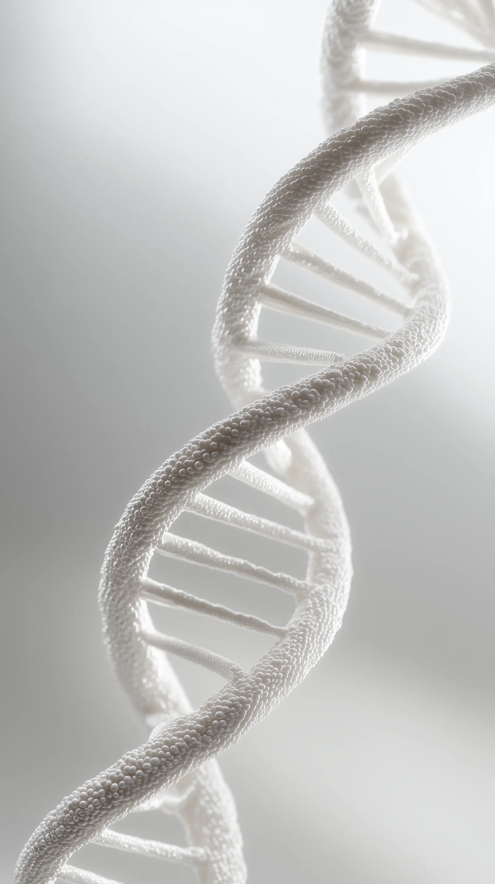 BIOHACKER Partner Network